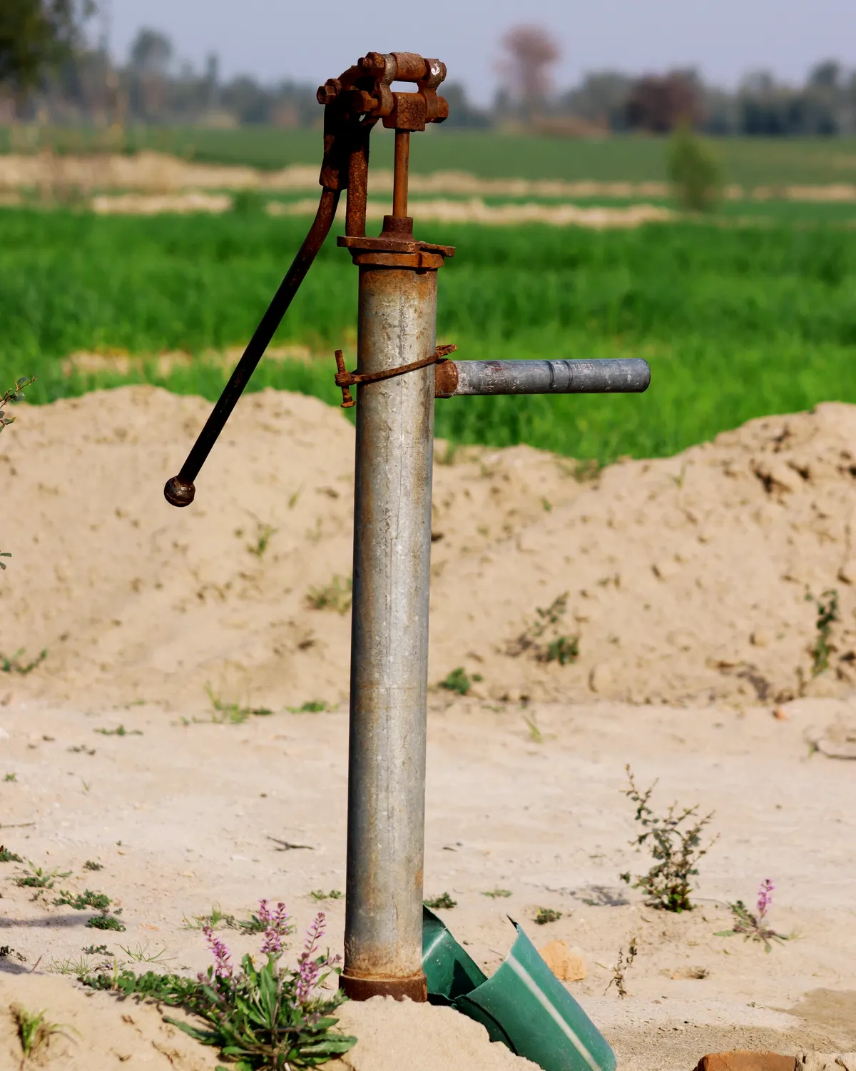 Landscape and irrigation plans, plant schedule, piping, valves, soil, and mulch quantities